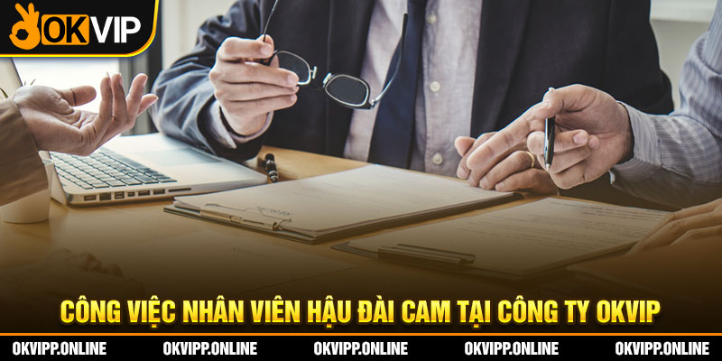Công việc Nhân viên Hậu Đài CAM tại công ty OKVIP