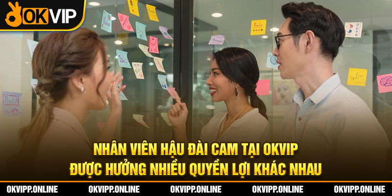 Nhân viên Hậu Đài CAM tại OKVIP được hưởng nhiều quyền lợi khác nhau