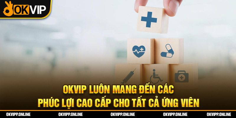 OKVIP luôn mang đến các phúc lợi cao cấp cho tất cả ứng viên